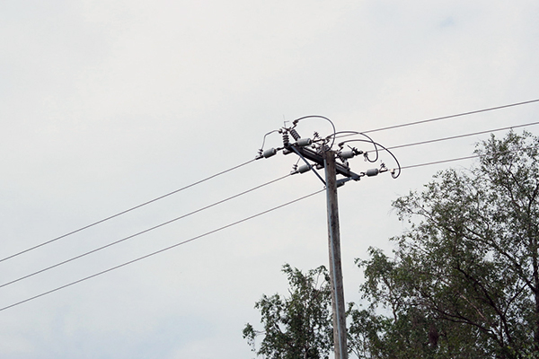 Keskijänniteverkon johto